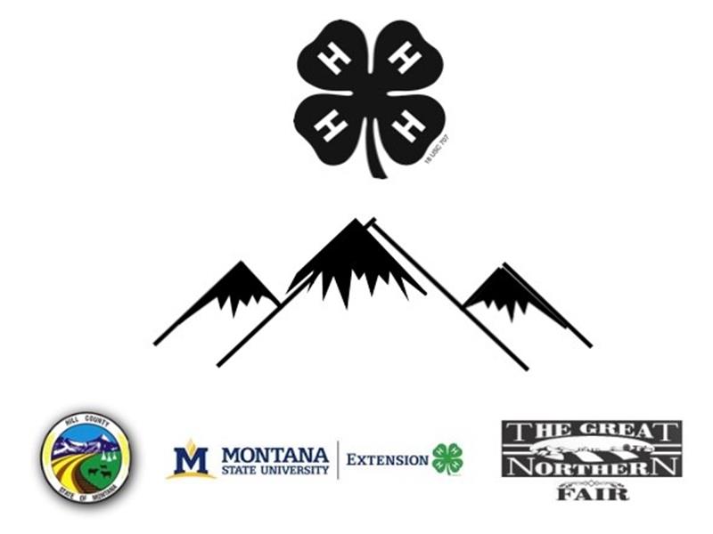 Logo for 2024 Hill County 4-H Fair